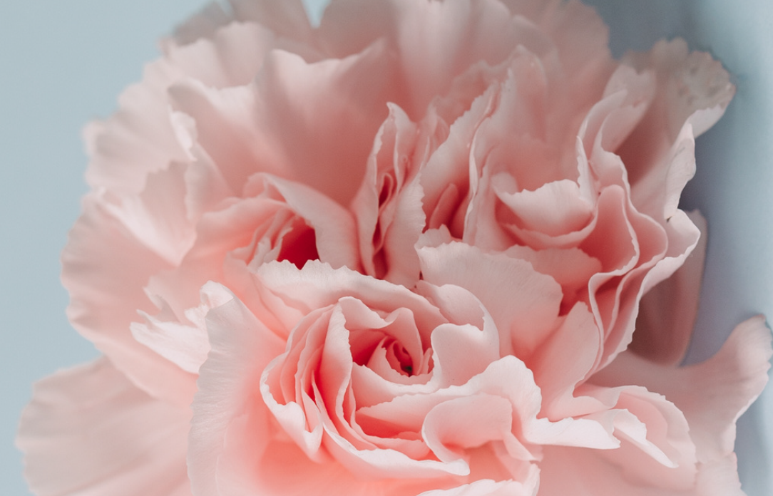 Atencion personalizada Yolanda Galiana